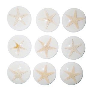ปลาดาวแท้ พลาสติกคาโบชองทรงกลม 35x35 มม. สีขาว ฐานแบน สำหรับงานฝีมือและทำเครื่องประดับ - Product Image 6