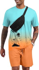 Men's 2 Piece Short Sleeve Tracksuit Tropical Graphic T Shirt Hawaiian Tee Solid Shorts <b>Set</b> Summer Casual Outfits - Product Image 3