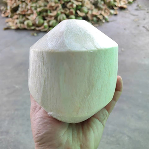 Coco Fresco Vietnamita Diamond |   Estándar de Exportación de Agua Dulce Natural - Product Image 1