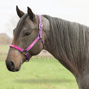 Adjustable Nylon Horse Halter with Metal Buckles and <b>Snap</b> <b>Hook</b> - Product Image 4