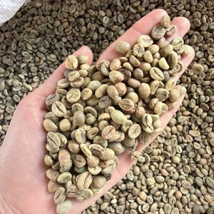 Eco-friendly <b>Robusta</b> <b>Coffee</b> <b>Beans</b> for Roasting Dry Process Green <b>Coffee</b> <b>Beans</b> Size 13 Vietnam Highland Farm Supply - Product Image 3