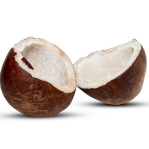 Noix de coco séchée premium, noix de coco naturelle séchée pour la cuisine, la pâtisserie, les collations, les desserts, les confiseries et la préparation des aliments - Product Image 4