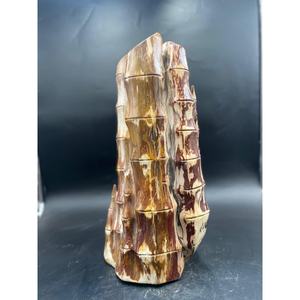 Bois pétrifié naturel poli, pierre de bambou pour la décoration intérieure et l'exposition, produit de pierre de jardin de qualité supérieure - Product Image 2