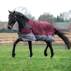 Mantas de invierno para caballos hechas en Pakistán, mantas personalizadas para caballos, mantas estándar para caballos en venta - Product Image 6