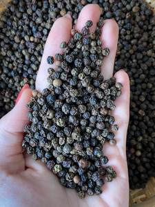 Chất lượng cao khô Hạt tiêu đen nguyên liệu Asta gia vị để nấu ăn OEM bao bì có sẵn trực tiếp từ joice nhà máy - Product Image 4