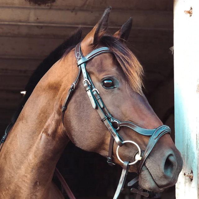 Jouet Cheval en cuir Canter - équipement box