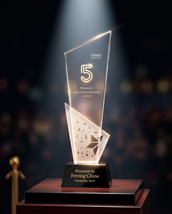 Medalla Personalizada de Acrílico y Bronce, Reconocimiento Premium Duradero para Eventos Corporativos y Celebraciones Especiales - Product Image 3