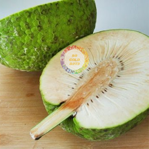 ขนุนแช่แข็งจากเวียดนาม บรรจุภัณฑ์สุญญากาศและแบบขายส่ง ปลอดจีเอ็มโอ ปลูกแบบทั่วไป ส่วนผสมเพื่อสุขภาพ เหมาะสำหรับทำซุป ตุ๋น ผัด - Product Image 1