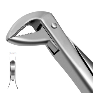 Forceps d'extraction dentaire 74N, modèle anglais, en acier inoxydable, instrument chirurgical pour l'élimination des dents - Product Image 5