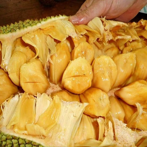 ขนุนแช่แข็งส่งออกมาตรฐานราคาไม่แพง - Product Image 1