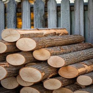 Troncos de Madera al por Mayor, Entrega Rápida, Origen Francés, Alta Calidad, 24 Meses de Vida Útil, Mejor Precio Bajo - Product Image 5
