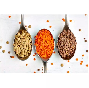 Lentilles blanches Urid Dal de qualité supérieure, riches en protéines, biologiques, pour une cuisine saine et une nutrition quotidienne, à prix et qualité d'exportation. - Product Image 3