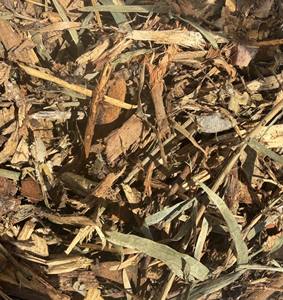 Suministro al por Mayor para la Industria del Papel: Virutas de Madera de Eucalipto y Acacia de 2-10mm de un Vendedor Austriaco Confiable a Precios Económicos - Product Image 6