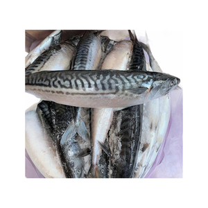 อาหารทะเลแช่แข็งและปลาแช่แข็ง ปลาแมคเคอเรลแช่แข็ง - Product Image 5