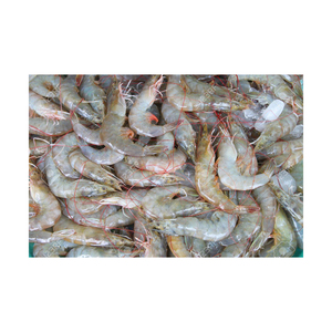 กุ้งลายเสือดำแช่แข็งขายส่ง กุ้งลายเสือดำดิบ PD กุ้งทะเลสดคุณภาพสูง กุ้งลายเสือดำปอกเปลือก - Product Image 1