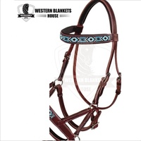 Bridon d'équitation confortable pour chevaux de sport et de course, avec personnalisation de marque, couleurs turquoise, en laiton, pour l'équitation et les soins équestres, Western Blankets House