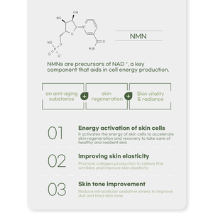 ครีมบำรุงผิวหน้า Nourishing Radiance NMN จากเกาหลีใต้ พร้อมโลโก้ของคุณ - Product Image 4