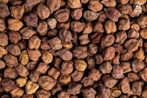 Approvisionnement en gros de poudre de Chaga noire pure naturelle de haute qualité - Product Image 5