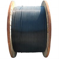 Câble à fibres optiques DMIS haute performance G657A2 certifié CE/ROHS/ISO9001, modèle noir GJXH pour les réseaux FTTH/FTTB/FTTX