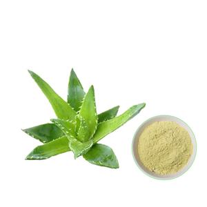 Polvo de extracto de hoja de Aloe Vera salvaje orgánico suplemento herbal OEM ODM Etiqueta Privada opciones de embalaje personalizado - Product Image 1