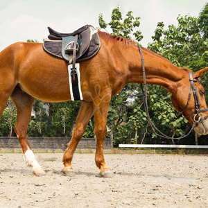 Sangle de Selle Western en Cuir Personnalisable 28" 34" avec Rembourrage Doux en Polaire de 25mm, Sangle en Nylon Antidérapante et Acier Inoxydable - Product Image 6