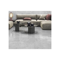 Azulejos de Porcelana Modernos de Alta Resistencia de 600x1200 mm - Bajo Mantenimiento, Antideslizantes, Resistentes a Ácidos, Resistentes al Calor, Aptos para Todo Clima