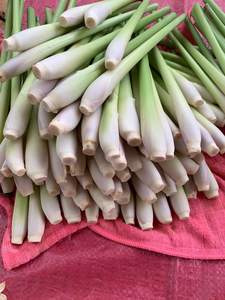 IQF <b>Frozen</b> LEMONGRASS- SLICED LemonGrass/ CHOPPED Lemongrass for Export <b>Frozen</b> Vegetables <b>Product</b> - SUPPLIER VIETNAM/ Ms. Selina - Product Image 6