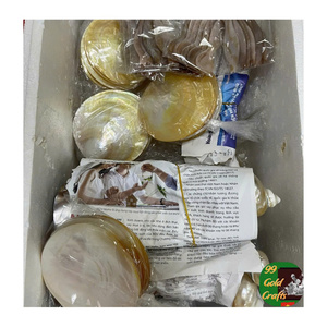 Cuillère en nacre naturelle faite à la main, ustensile de service pour caviar, fournitures pour restaurants - Product Image 3
