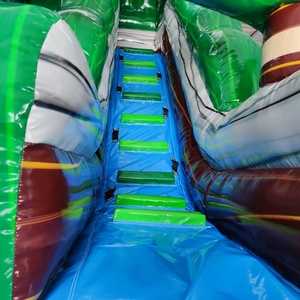 Toboganes Acuáticos Inflables Comerciales Largos para Niños y Adultos, Tobogán Inflable para <span class=keywords><strong>Piscina</strong></span> - Product Image 4