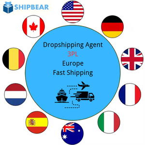 Agente de Dropshipping de Shopify, Servicios de Logística 3PL, Almacén Gratuito, Cumplimiento de Pedidos, Envío Rápido Puerta a Puerta de China a Europa - Product Image 3