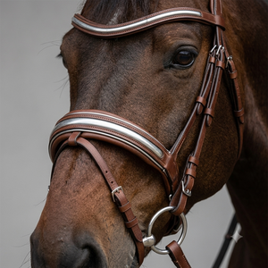 Brida de Doma para Caballo de Cuero de Grano Completo Color Castaño Premium con Corona Acolchada Anatómica, Acolchado Suave y Frontal con Incrustaciones Plateadas - Product Image 6
