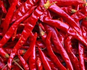 พริกแห้งเวียดนามขายส่ง – พริกคุณภาพพรีเมียม พริกแห้งธรรมชาติ // คุณทอม - Product Image 1