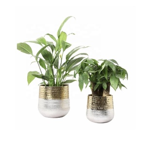 Ensemble de 2 jardinières pour pot de fleurs de style moderne pour décoration de centre de table de salon pour l'extérieur et l'intérieur Pot rond en métal pour la décoration d'intérieur - Product Image 1