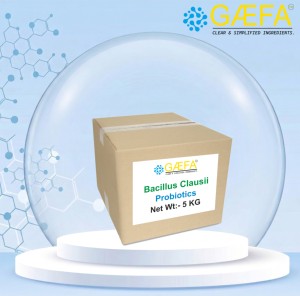 Poudre de Bacillus Clausii de qualité alimentaire pour l'équilibre de la flore intestinale et le soutien digestif - Product Image 2