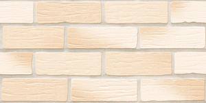 Azulejos Premium Choice de Calidad Superior Asia Tiles Elevation Tiles 300x600mm Azulejos de Pared Resistentes al Agua - Product Image 4