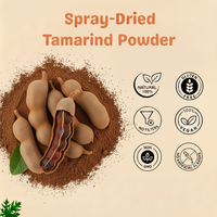 Poudre de Tamarin Biologique Séchée par Pulvérisation 80-100 Mesh Fine, Conditionnement en Vrac Sous Vide, Certifiée Halal Kosher FSSAI, Sans Sucre Ajouté, Faible Teneur en Humidité