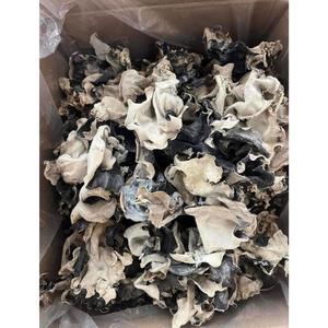 Natural Dried Black Fungus Wood Ear Mushroom For Culinary Use High Fiber Raw Material For Food Processing And Export Supply - Product Image 6