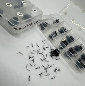 Extensions de cils synthétiques faites à la main, longueurs mixtes, naturelles, longues, éventail uniforme, base pointue, logo personnalisé 3D-20D - Product Image 1