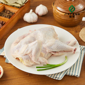 Premium Quality Organic Frozen IQF Whole <b>Chicken</b> Body Free Vacuum Pack Halal Certified Sugar-Free with Vitamins 25kg - Product Image 5