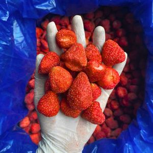 Freeze-Dried <b>Red</b> Strawberry Vietnam Supply Pure Natural Ingredients Versatile <b>Material</b> for Tea Blends and Smoothie Bowls - Product Image 5