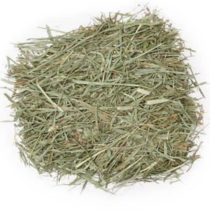 Heno de Alfalfa para Alimentación Animal, Heno de Timothy / Pellets de Heno de Alfalfa / Alfalfa en Fardos de la Mejor Calidad Superior - Product Image 6