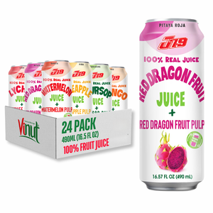 Mejor precio 490ml Dragon Juice Drink Pulp Muestra gratis Etiqueta privada OEM/ODM Servicios disponibles Fabricante de Vietnam - Product Image 1