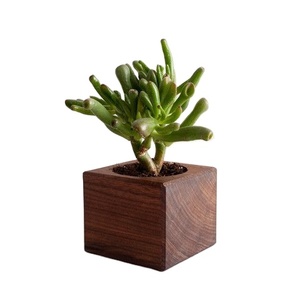 Macetas de madera creativas de pueblo, macetas de corteza de abeto y maceta Wishing Well para decoración de jardín y patio trasero - Product Image 1