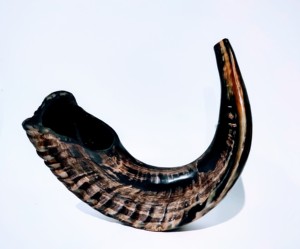 Shofar de Cuerno de Carnero Natural Pulido Ecológico al por Mayor para Venta por Curio Craft - Decoración de Bodas y Coleccionable de Arte - Product Image 1