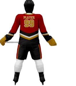 Uniformes de hockey sur glace unisexes personnalisés 100% polyester, imprimés par transfert thermique, respirants, ensemble de hockey sur glace, nom de l'équipe, logo sur le devant, adultes - Product Image 1