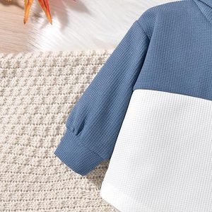Fournisseur en gros : Ensemble tendance style urbain – Short taille élastique et haut à manches courtes, confortable et léger - Product Image 4