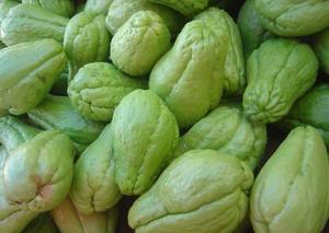 Chayote Congelado Listo para Cocinar, Ingrediente para Fábricas de Alimentos, Cocinas y Servicios de Catering - Product Image 3