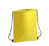 Sacs promotionnels personnalisés en PVC avec logo pour l'éducation, l'automobile, les agences de voyage – Couleurs personnalisées, vente en gros, petits et abordables