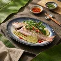 Assiette ovale en mélamine de 12 pouces, bord bleu, aspect céramique texturé, assiettes de service pour sushis et poissons pour restaurant, vaisselle en mélamine