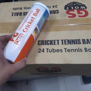 Pelota de Tenis Playa FG DON Sin Presión ITF, Amarilla, Edición Ligera y Duradera, 69 mm de Diámetro, para Juego Recreativo - Product Image 6